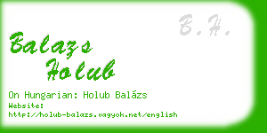 balazs holub business card
